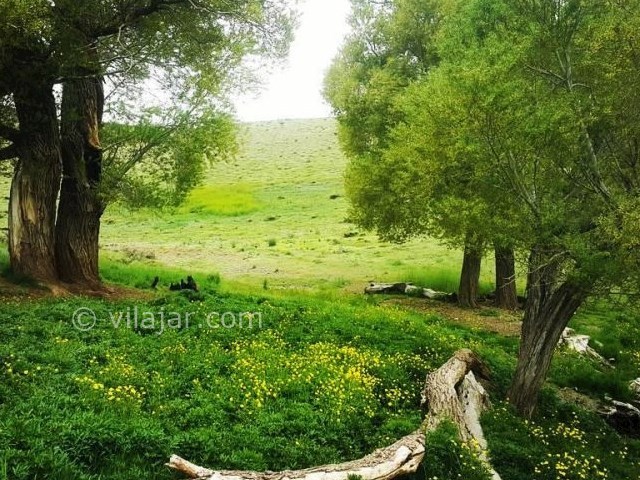 عکس شماره 11 - منطقه گردشگری گلستانکوه