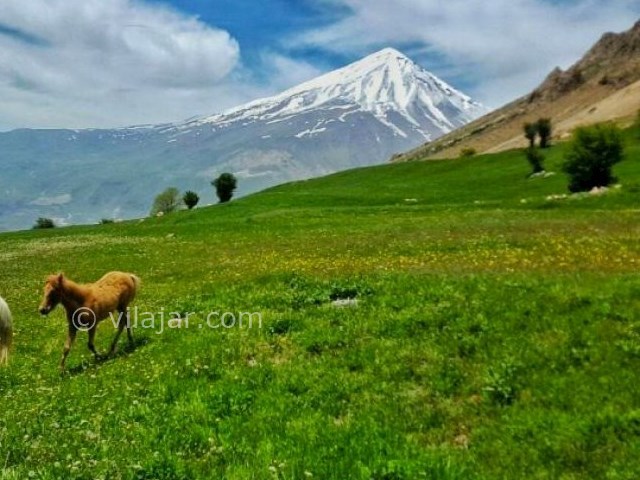 عکس شماره 3 - دشت آزو