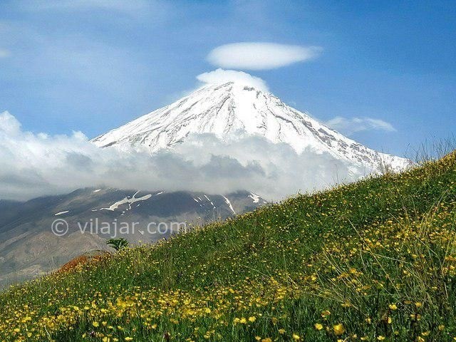 عکس شماره 4 - دشت آزو