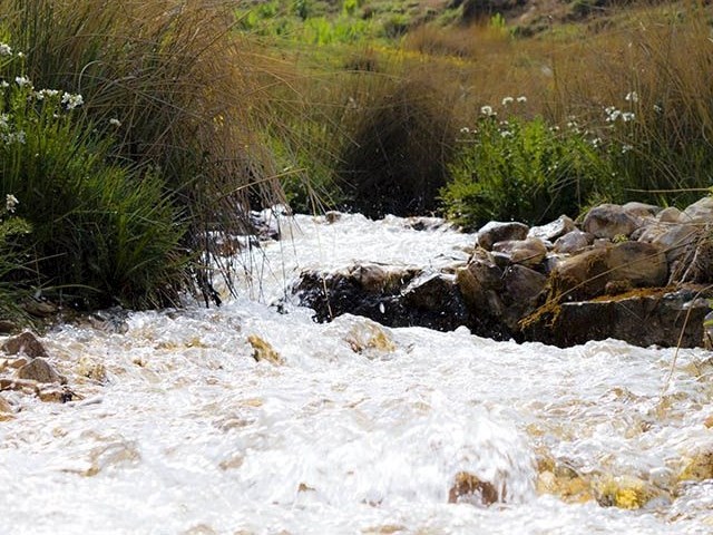 عکس شماره 14 - دشت آزو