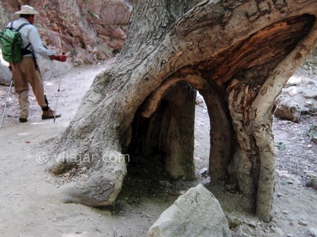 عکس شماره 3 - آبشار آتشگاه لردگان