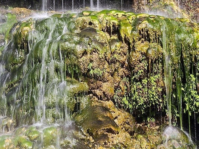 عکس شماره 3 - آبشار شور و شیرین فدامی