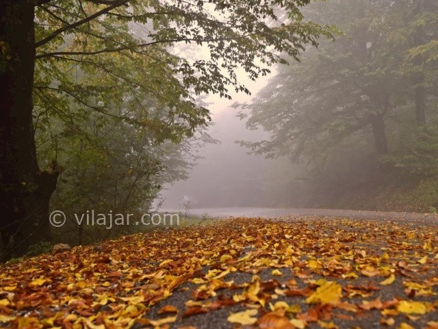 عکس شماره 9 - منطقه ییلاقی چلاو آمل