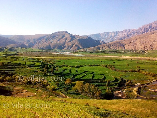 عکس شماره 6 - دشت سوسن