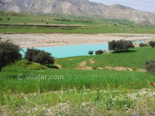 عکس شماره 7 - دشت سوسن