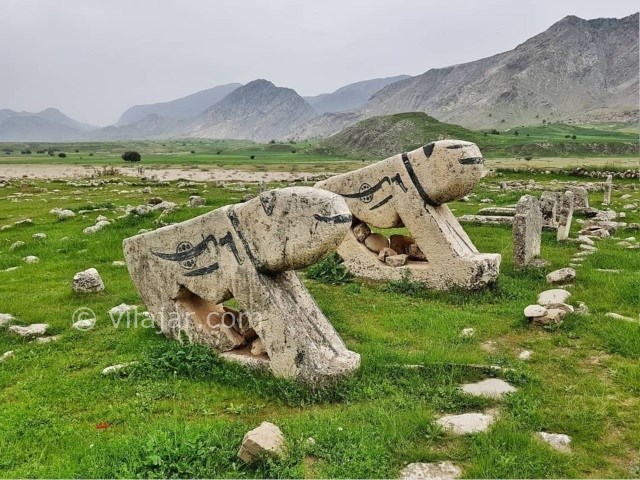 عکس شماره 8 - دشت سوسن