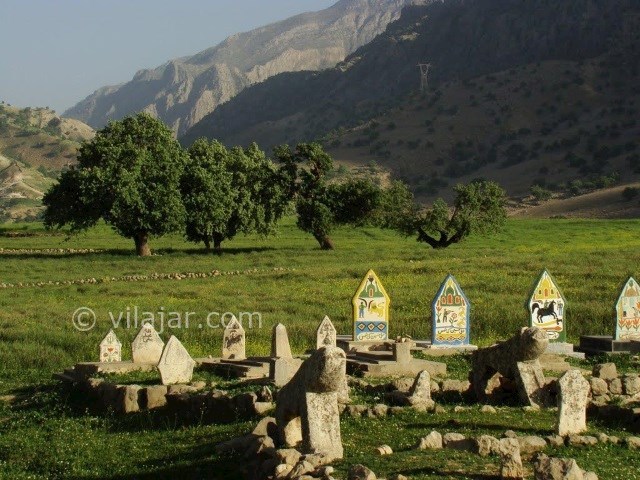 عکس شماره 9 - دشت سوسن