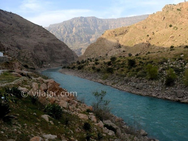 عکس شماره 11 - دشت سوسن