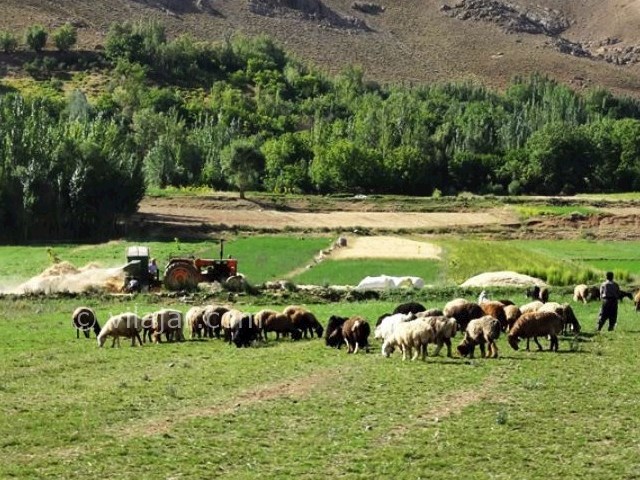 عکس شماره 15 - تالاب چغاخور بروجن