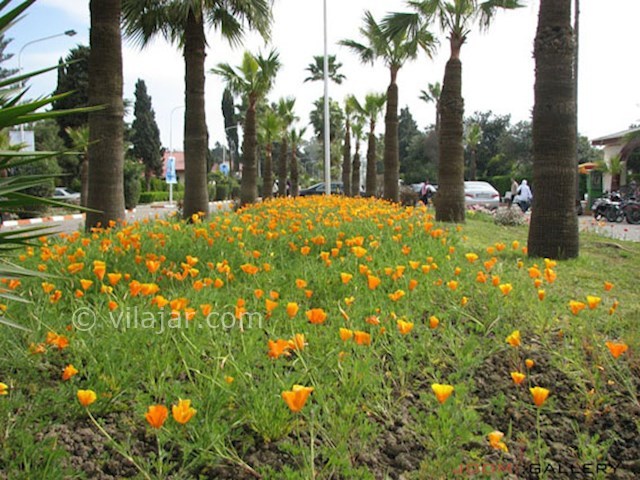 عکس شماره 5 - شهرک خزرشهر