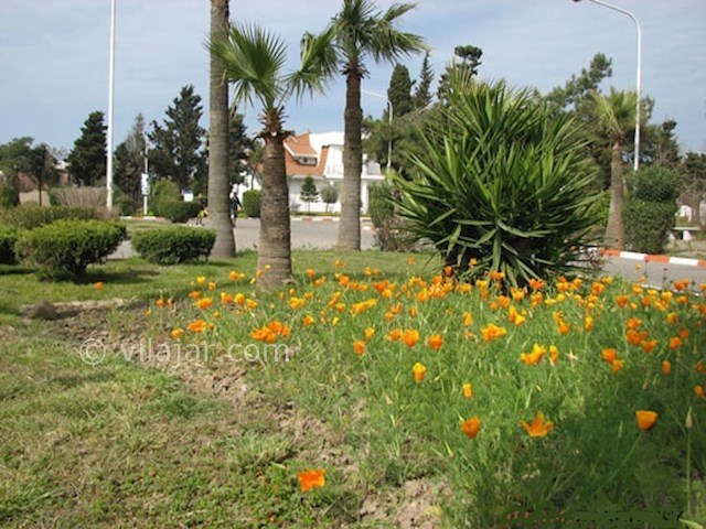 عکس شماره 6 - شهرک خزرشهر