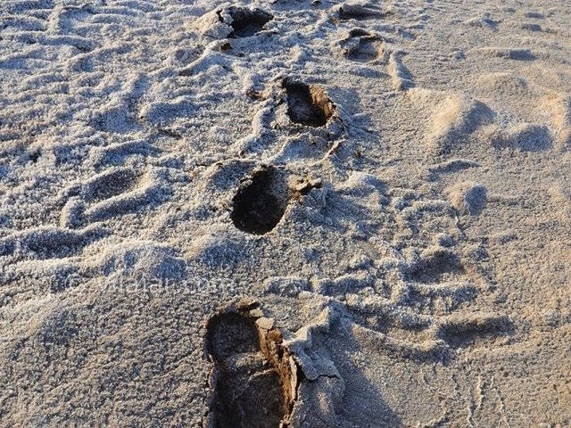 عکس شماره 11 - کال نمک طبس