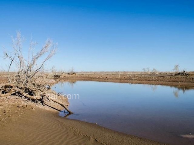عکس شماره 9 - کویر ریگ جن گرمسار