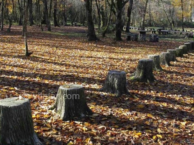 عکس شماره 21 - پارک جنگلی سی سنگان