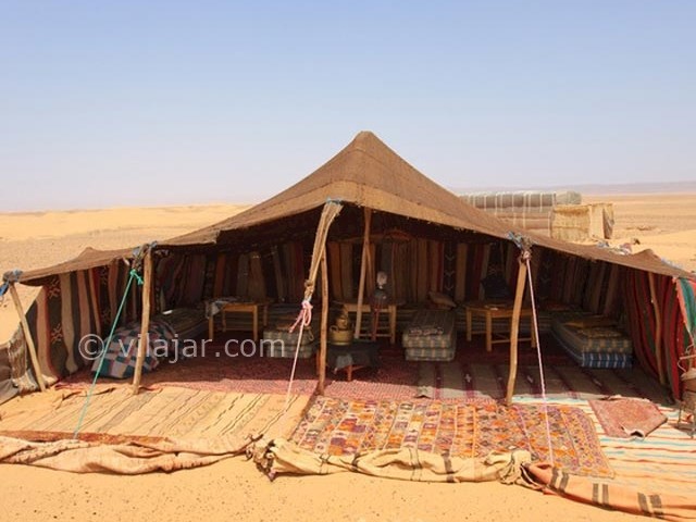 عکس شماره 8 - منطقه حفاظت شده خارتوران شاهرود