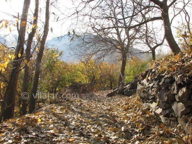 عکس شماره 6 - دره مراد بیگ همدان
