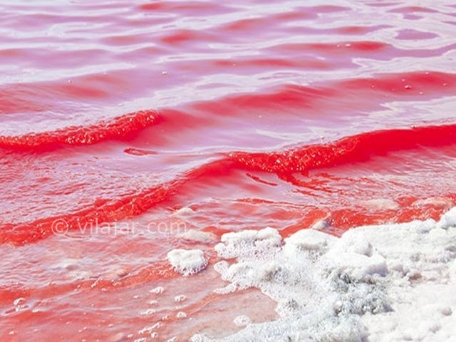 عکس شماره 5 - تالاب لیپار چابهار