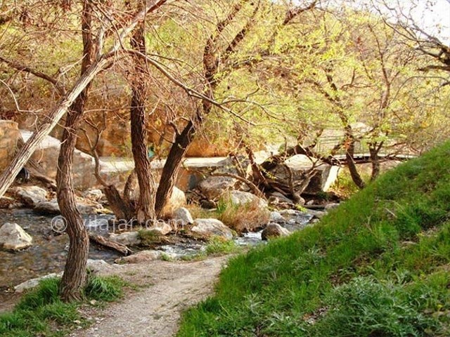 عکس شماره 5 - سراب صحنه