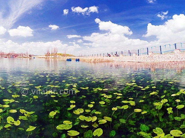 عکس اصلی شماره 2 - دریاچه سرآب نیلوفر کرمانشاه