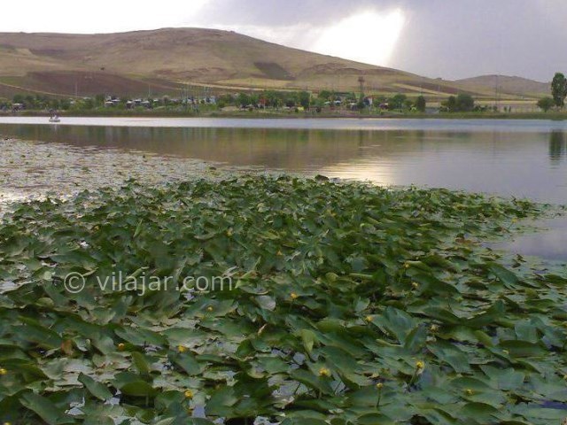 عکس شماره 4 - دریاچه سرآب نیلوفر کرمانشاه