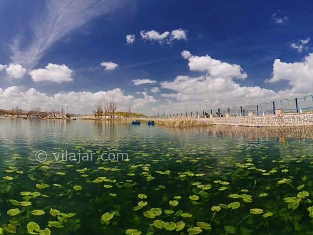 عکس شماره 6 - دریاچه سرآب نیلوفر کرمانشاه