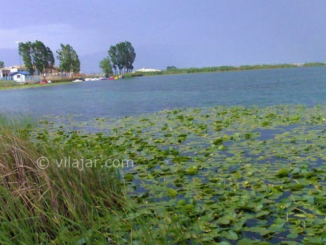 عکس شماره 7 - دریاچه سرآب نیلوفر کرمانشاه