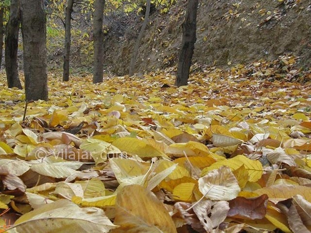 عکس شماره 13 - روستای بوژان نیشابور