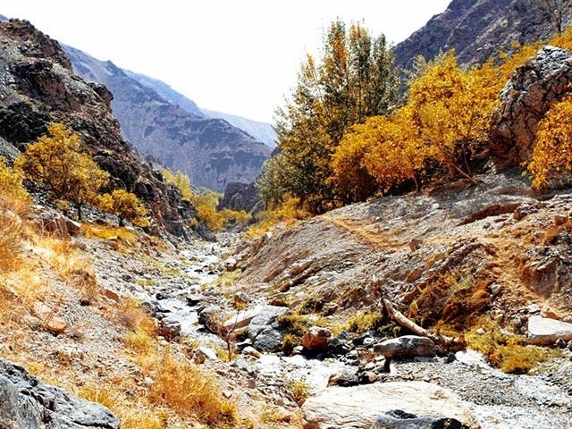 عکس شماره 14 - روستای بوژان نیشابور