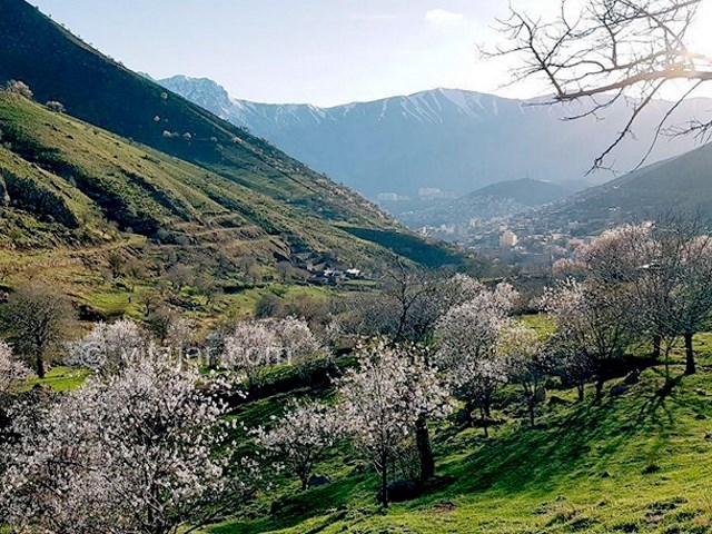 عکس اصلی شماره 2 - روستای هجیج پاوه