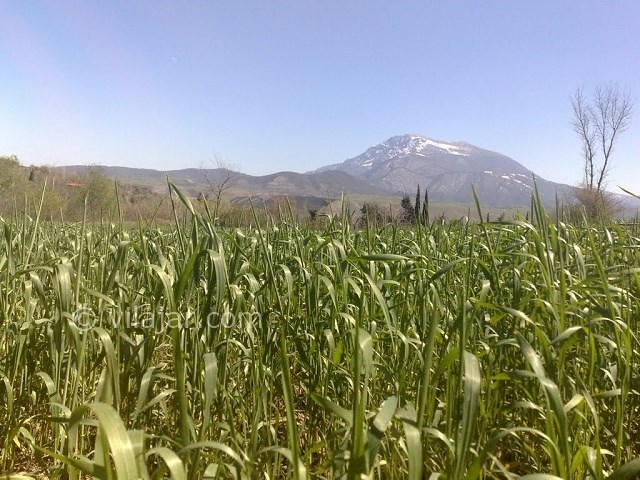 عکس شماره 8 - رستم آباد گیلان