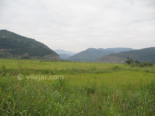 عکس شماره 11 - رستم آباد گیلان