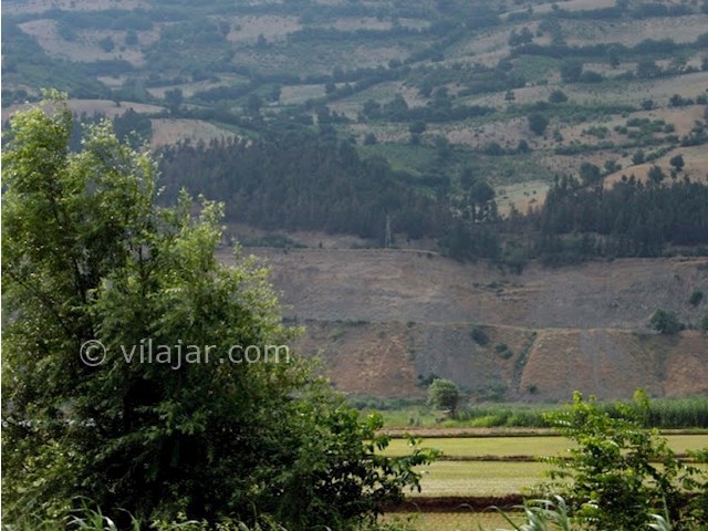 عکس شماره 15 - رستم آباد گیلان