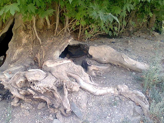 عکس شماره 3 - روستای سیرچ کرمان