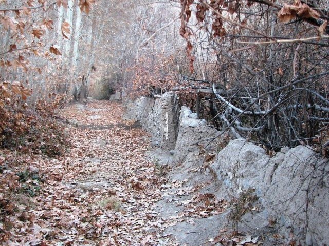 عکس شماره 7 - روستای سیرچ کرمان