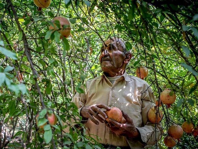 عکس شماره 4 - روستای ژیوار کردستان