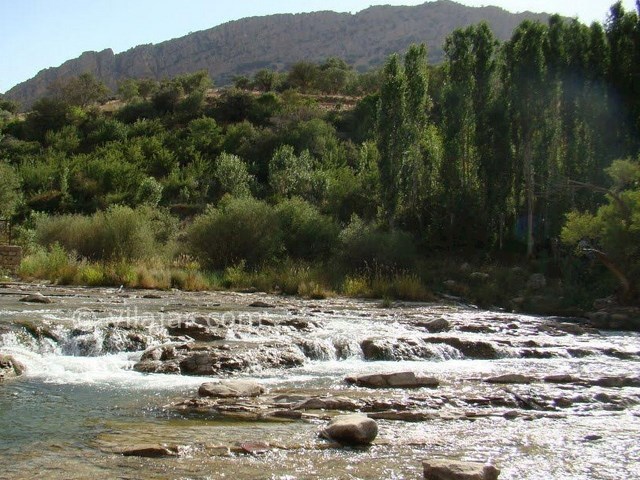 عکس اصلی شماره 1 - روستای مال آقا باغ ملک