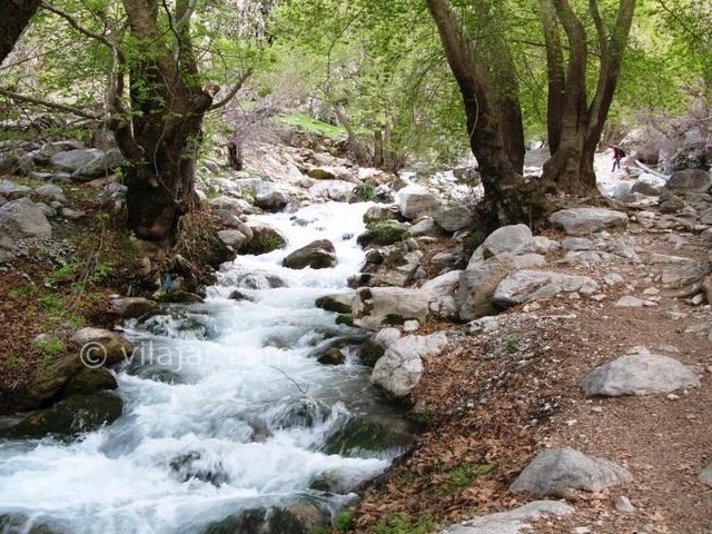 عکس اصلی شماره 2 - روستای مال آقا باغ ملک