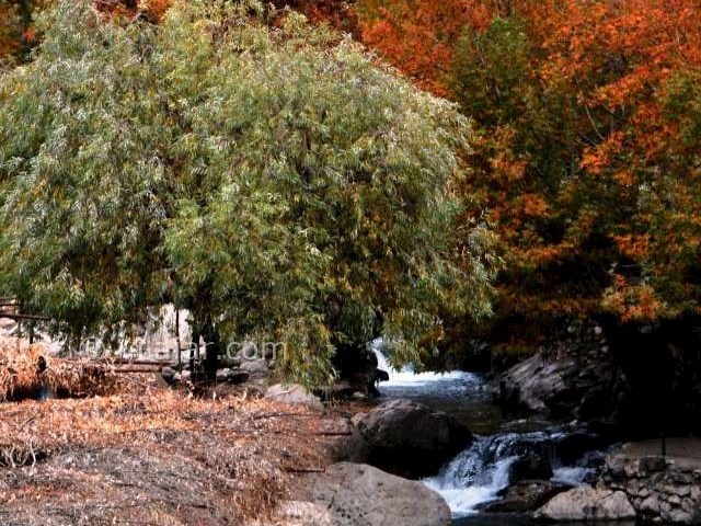 عکس شماره 4 - روستای مال آقا باغ ملک