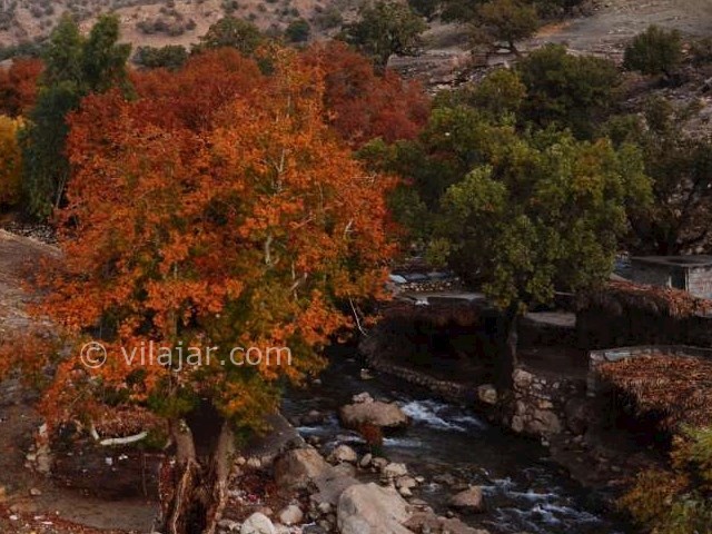عکس شماره 11 - روستای مال آقا باغ ملک
