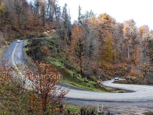 عکس شماره 8 - قله درفک دیلمان