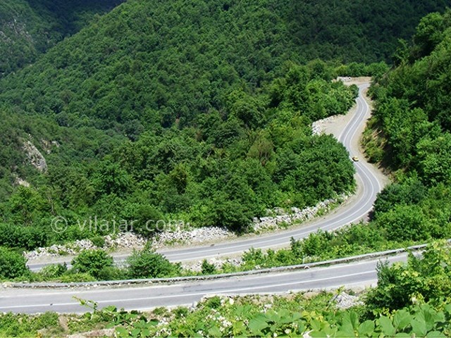 عکس شماره 4 - جنگل توسکستان گرگان