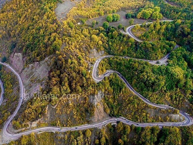 عکس شماره 6 - جنگل توسکستان گرگان