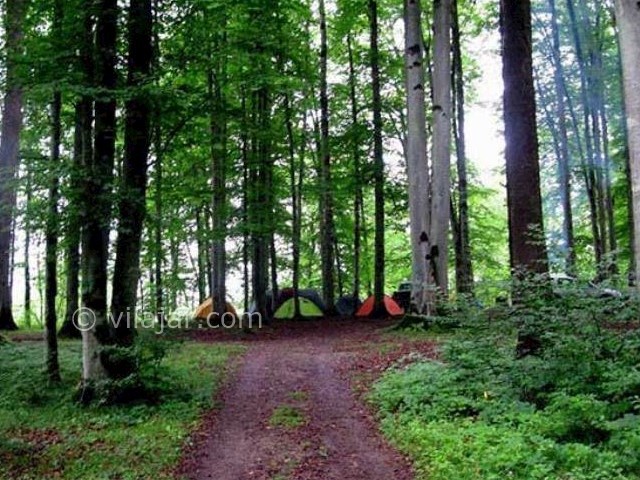 عکس شماره 7 - روستای لاویج نور
