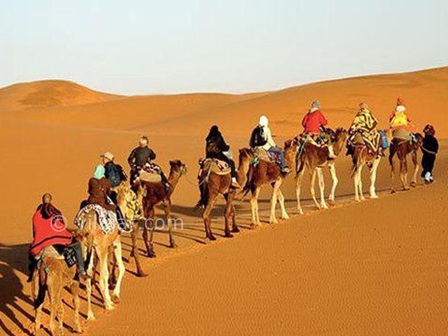 عکس شماره 3 - کویر کاراکال بافق