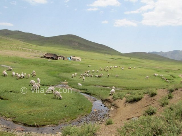 عکس شماره 5 - روستای هنزا بافت