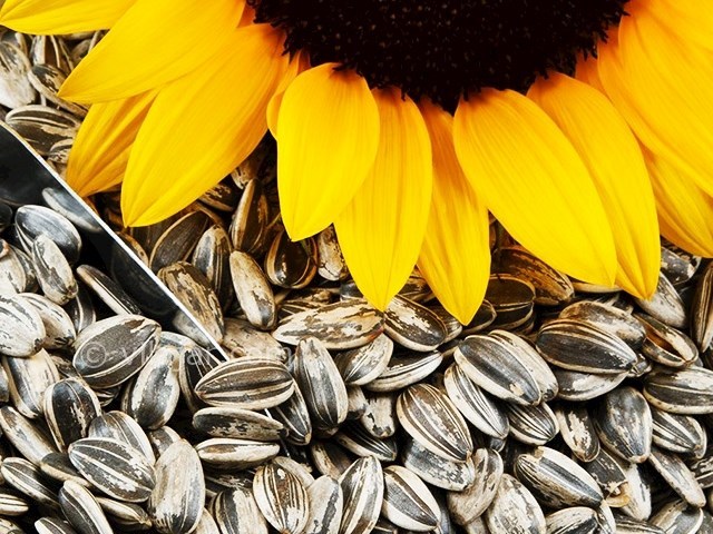 عکس شماره 3 - سوغاتی های اردبیل