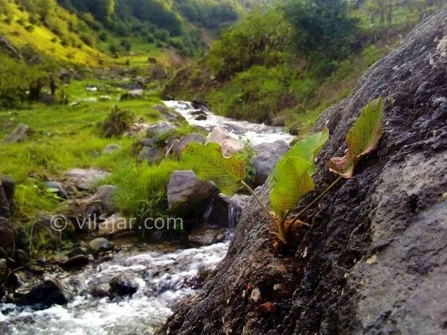 عکس شماره 3 - روستای ناتر چالوس