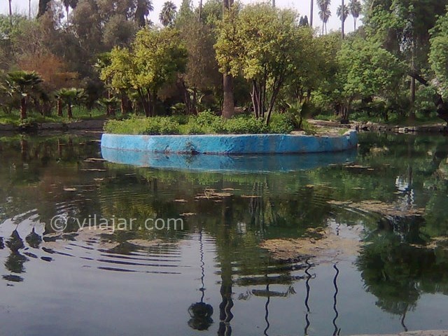عکس شماره 5 - باغ چشمه بلقیس چرام