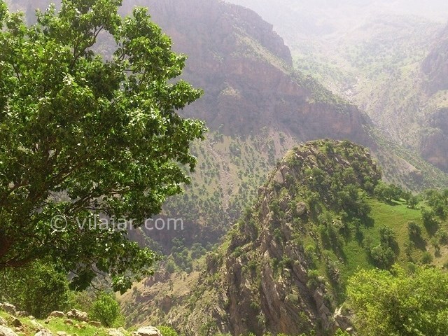 عکس شماره 10 - آبشار زرد لیمه اردل