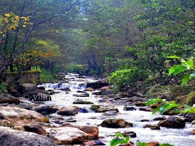 عکس شماره 6 - دریاچه قو در جواهرده